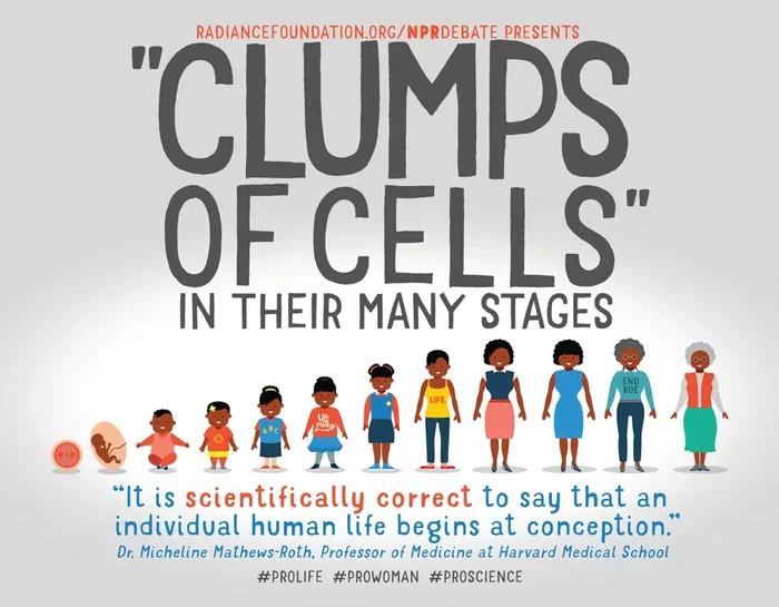 “CLUMPS OF CELLS” 4.2in x 5.5in Postcard