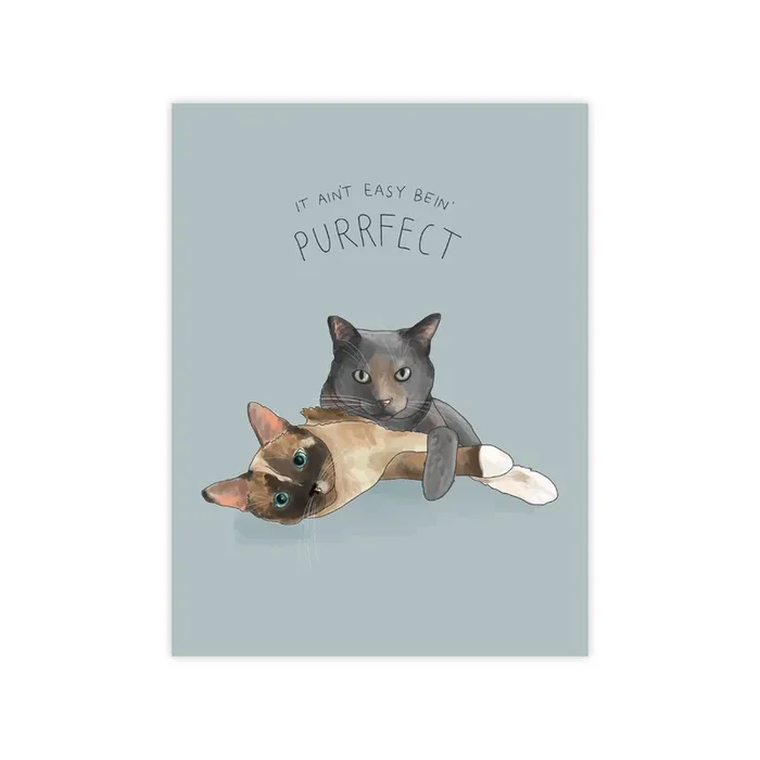 Ain’t Easy Bein’ Purrfect