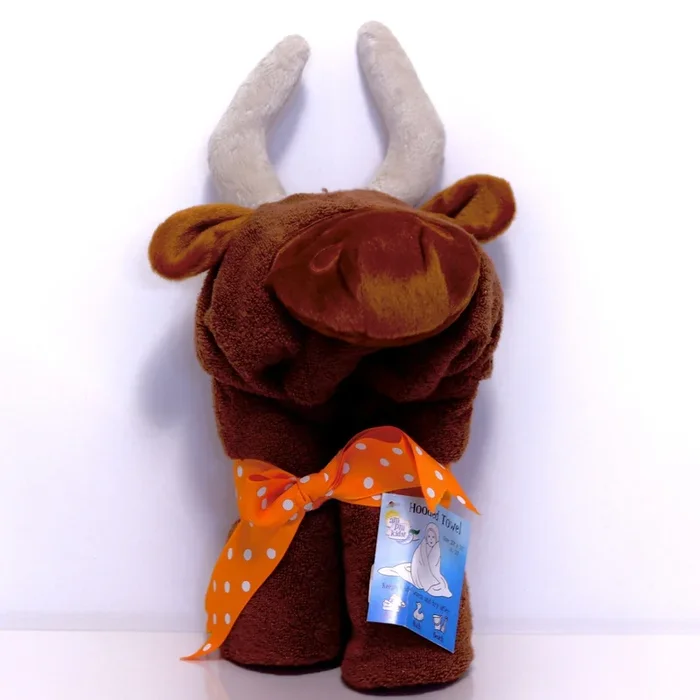 AM PM Hooded Plush Baby Towel