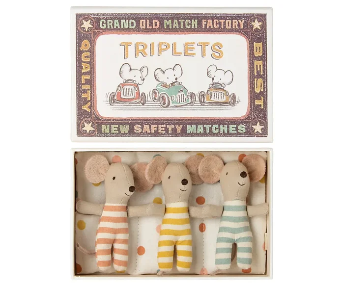 Baby Triplets in Box