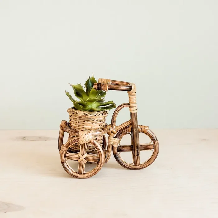 Bicycle Rattan Planter, Small – Handmade Planters | Likhâ