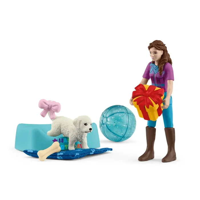 Birthday party with Lisa – Pocket Set