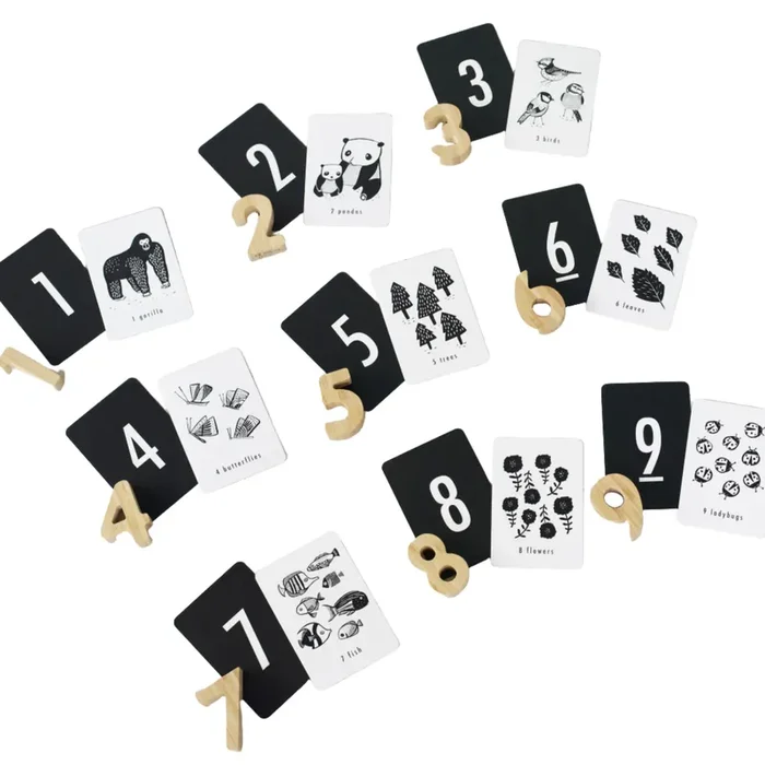 Counting Adventure Bundle