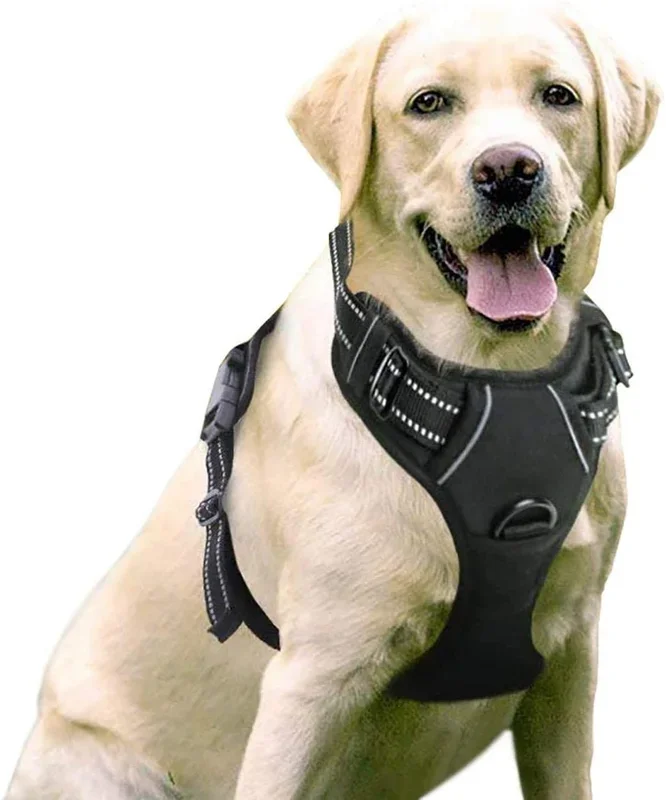 Dog Harness, No-Pull Pet Harness with 2 Leash Clips, Adjustable Soft Padded Dog Vest, Reflective No-Choke Pet with Easy Control