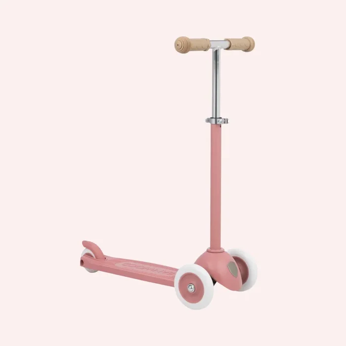 Eco Scooter – Raspberry