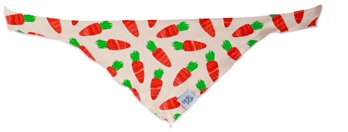 Ezra Pet Bandana