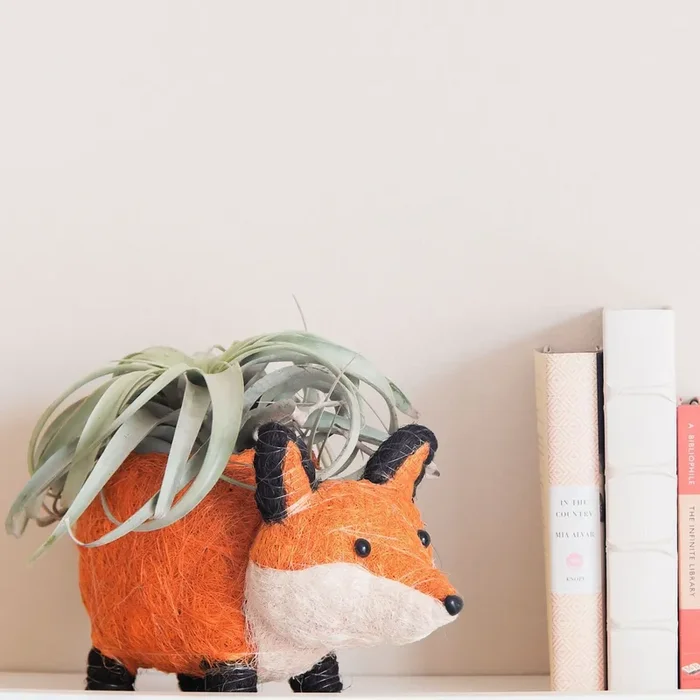 Fox Planter – Coir Planters | Likhâ