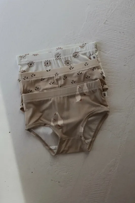 Girl’s Bamboo Briefs (3 Pack) | Flora, Silly Goose & Daisy Fields