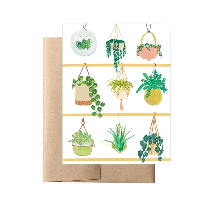 Hanging Plants