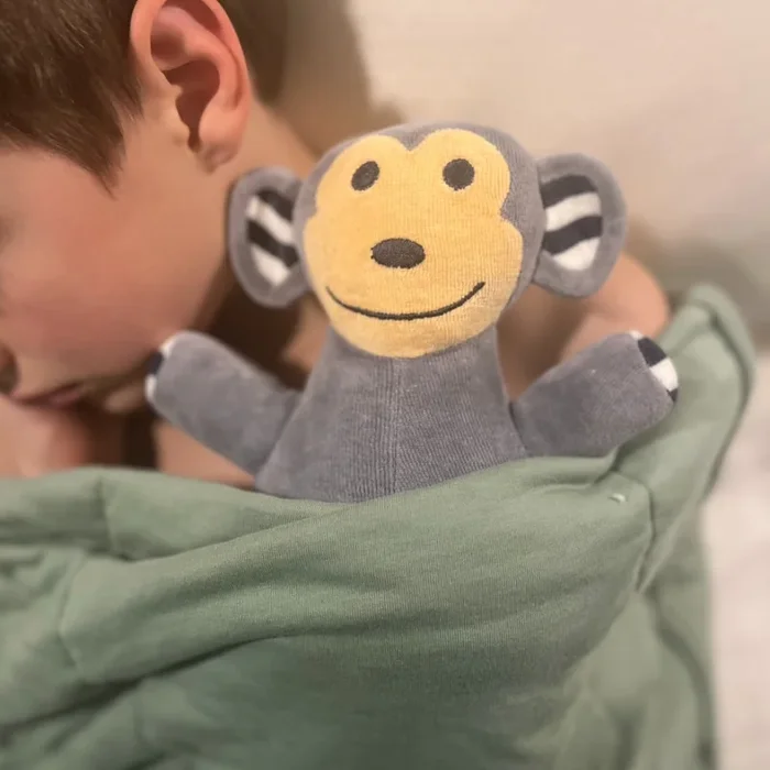 Monkey Soft Toy