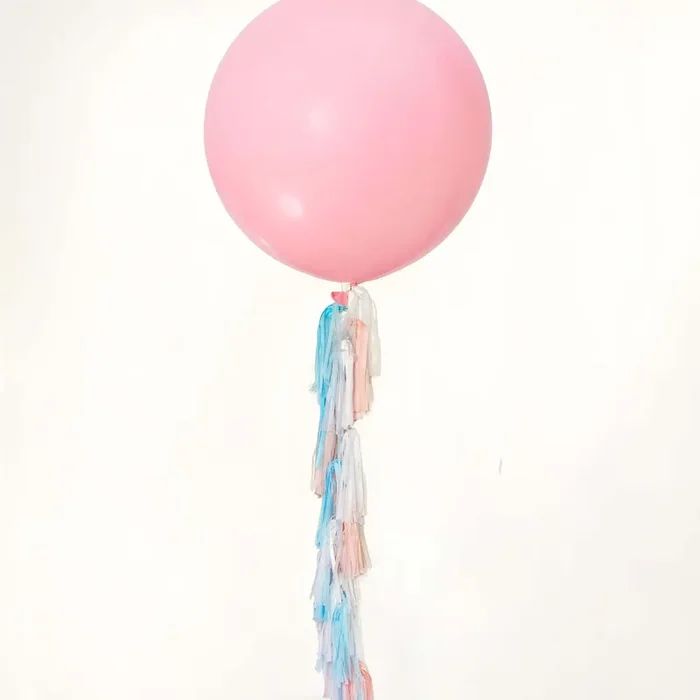 Pastel Pink And Blue Tassel Tail