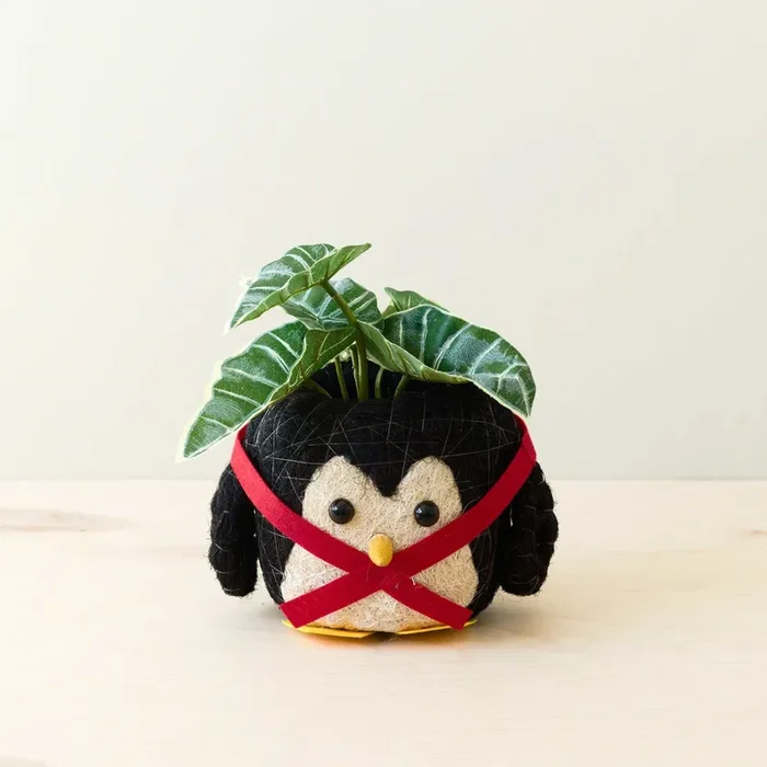 Penguin Planter – Coco Coir Pot | Likhâ