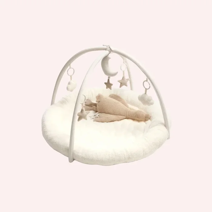 Playmat & Gym – Welcome to the World Duckling
