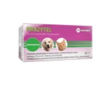 Prazytel – Pyrantel pamoate, Praziquantel – Dogs and Cats Dewormer