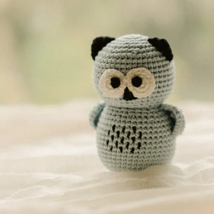 Simon The Scowl Owl