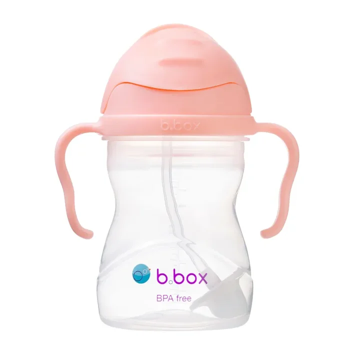 Sippy Cup – Tutti Frutti