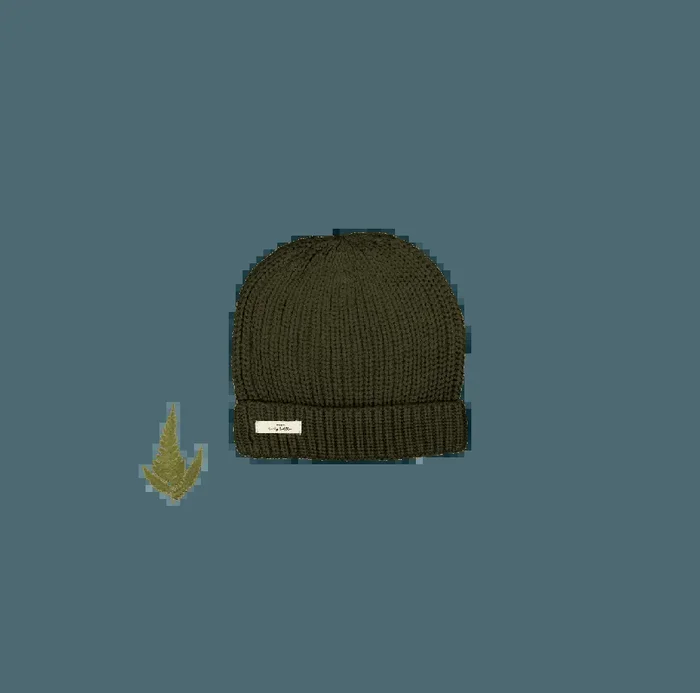The Chunky Knit Hat – Moss