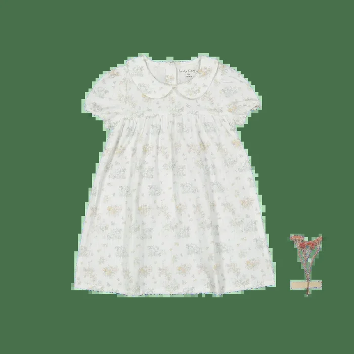 The Dressy Short Sleeve Collar Dress – Amelia