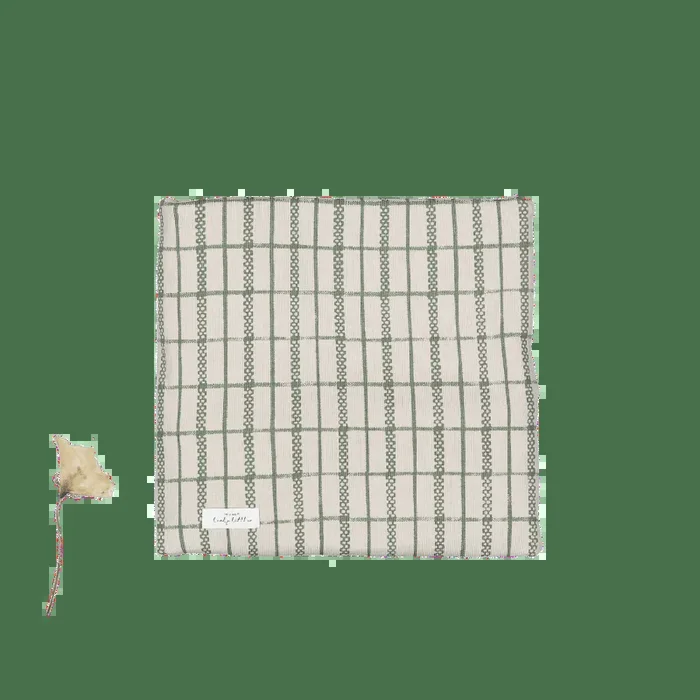 The Printed Blanket – Sage Check