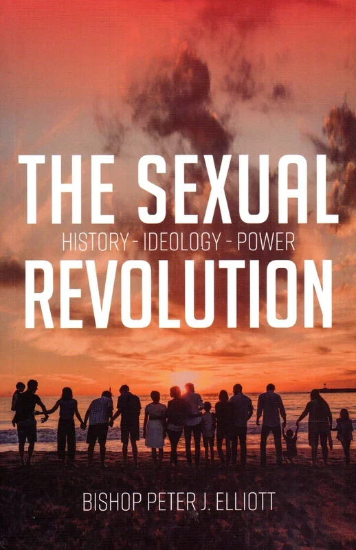 The Sexual Revolution: History-Ideology-Power