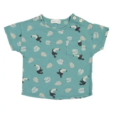 Toucan Print Tee Shirt Creme or Green