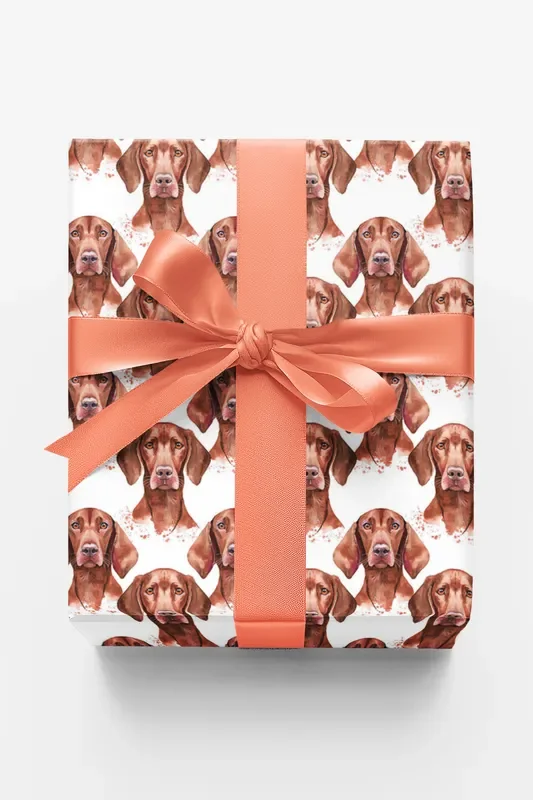 Velvet Vizsla