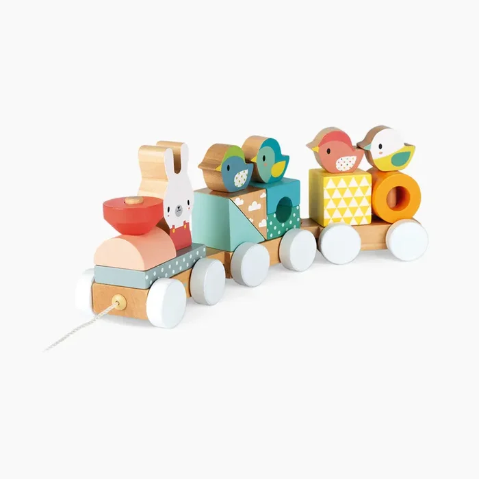 Wooden Pure Train